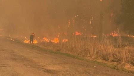 Rusya’da çıkan orman yangınlarında 21 kişi hayatını kaybetti